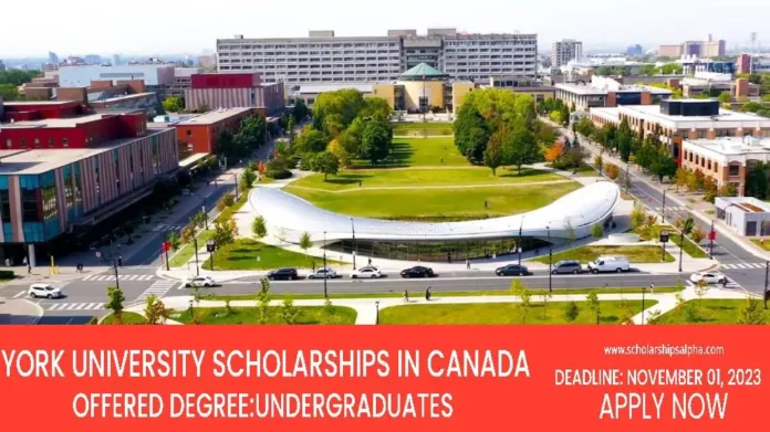 York University Scholarships 2023 in Canada