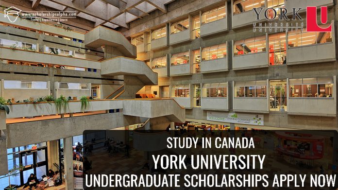 York University Undergraduate Scholarships