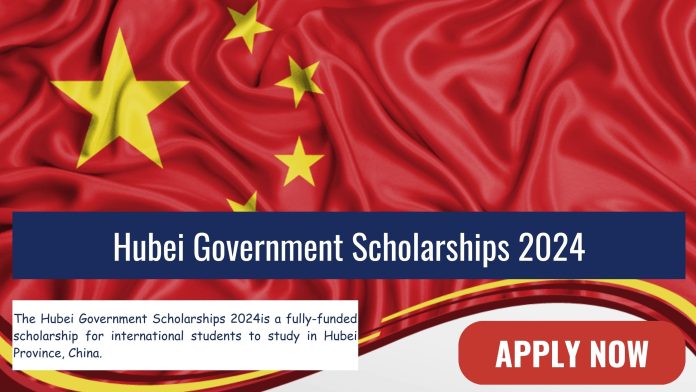 Hubei Government Scholarships 2024