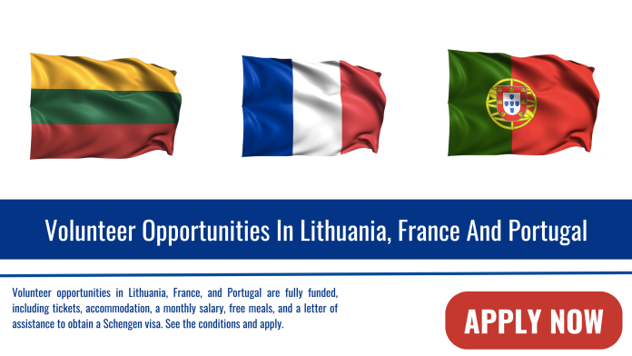 Volunteer Opportunities In Lithuania France And Portugal